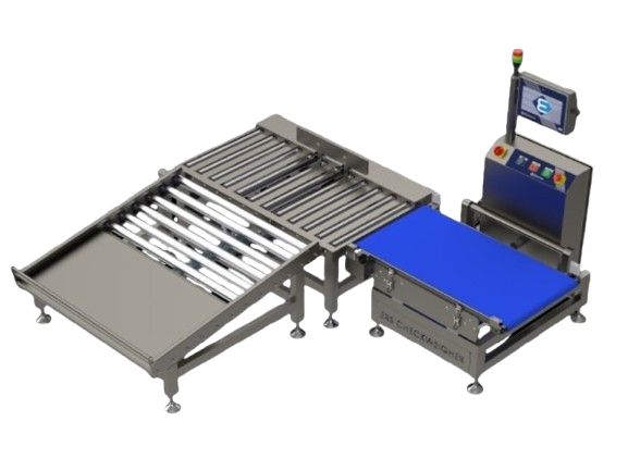 Ağırlık_Kontrol_Terazileri_koli_Tipi