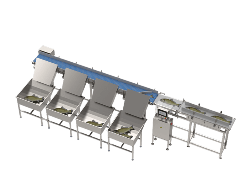 Balık Boylama Makinesi