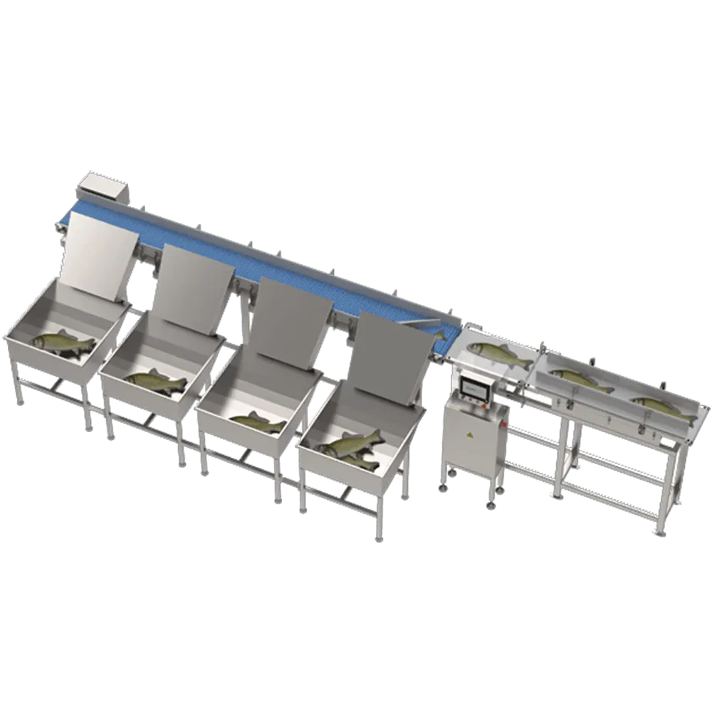 Balık Boylama Makinesi